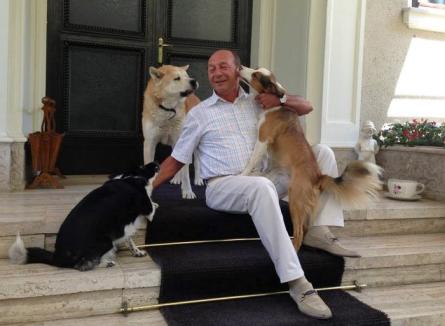 Traian Băsescu cere eutanasierea maidanezilor: Nu putem pune câinele mai presus de oameni